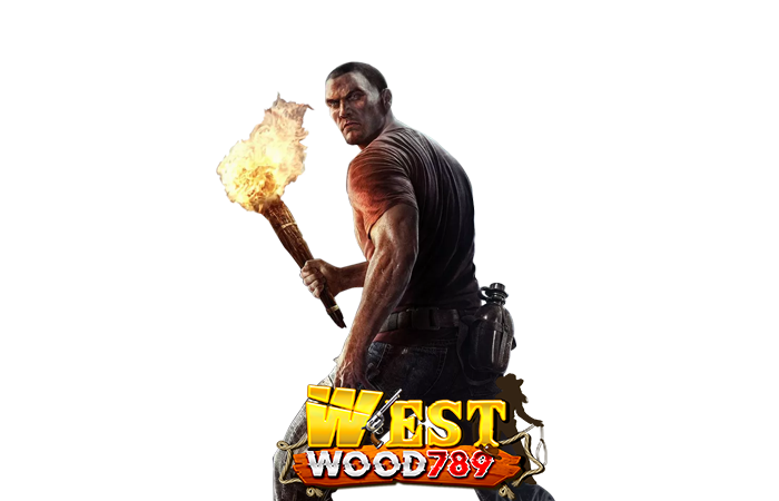 โครงสร้างแพลตฟอร์มเว็บระบบออโต้